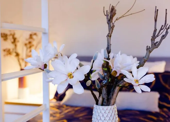 Benb Op De Trans, Op Best! Apartamento *